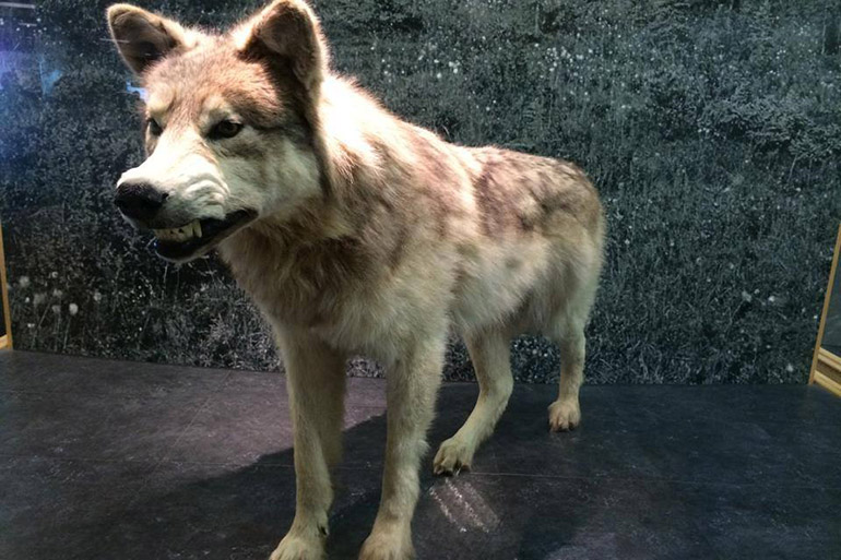 Foto: Rodrigo Raineri