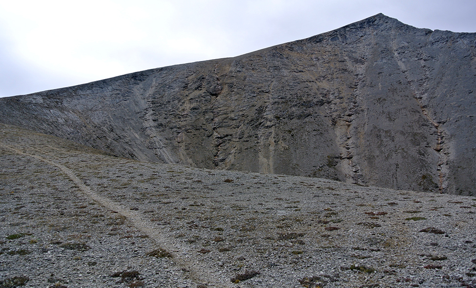 Foto: Thomaz Brandolin