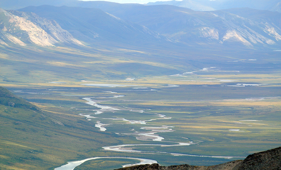 Foto: Thomaz Brandolin