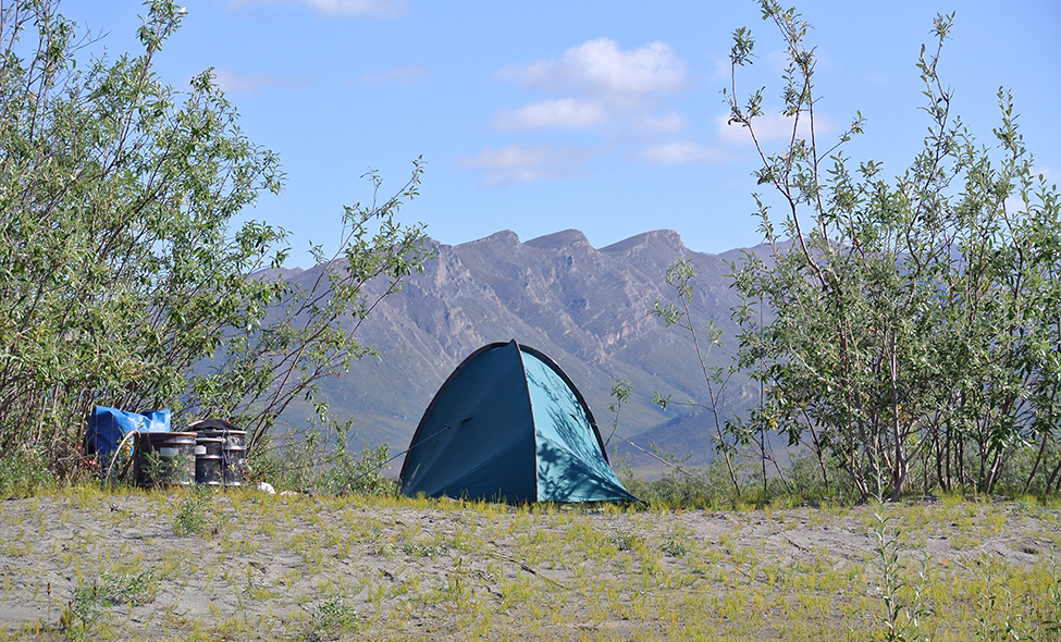 Foto: Thomaz Brandolin