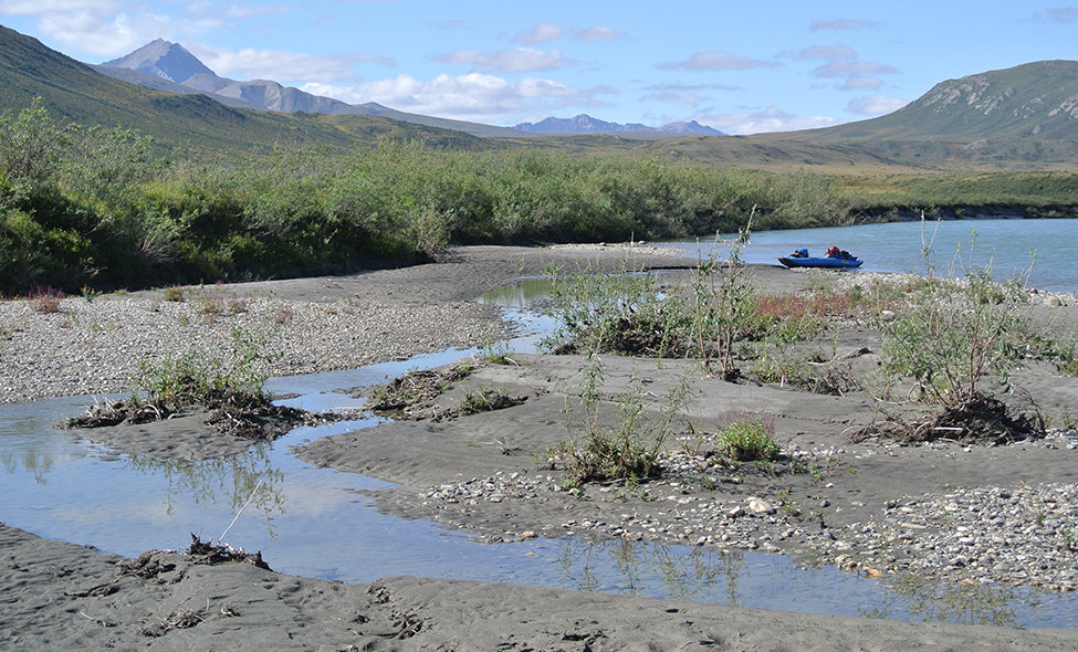 Foto: Thomaz Brandolin