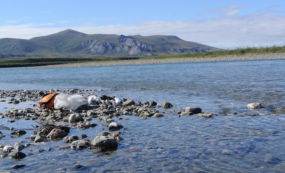 Foto: Thomaz Brandolin