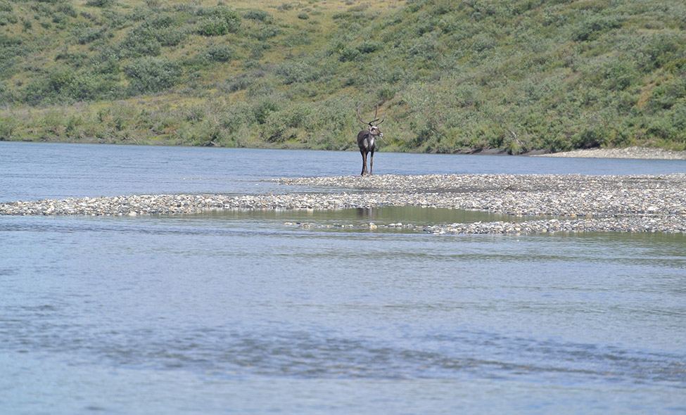 Foto: Thomaz Brandolin