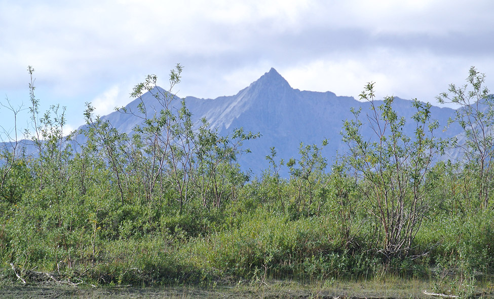 Foto: Thomaz Brandolin