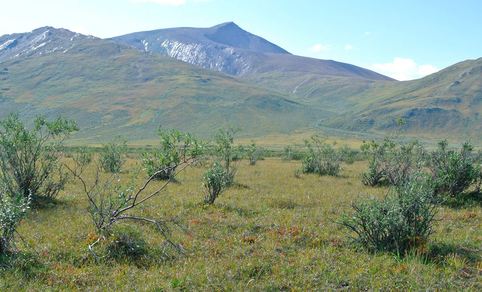 Foto: Thomaz Brandolin