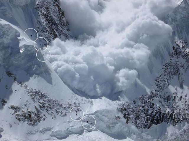 Foto: www.niclevicz.com.br