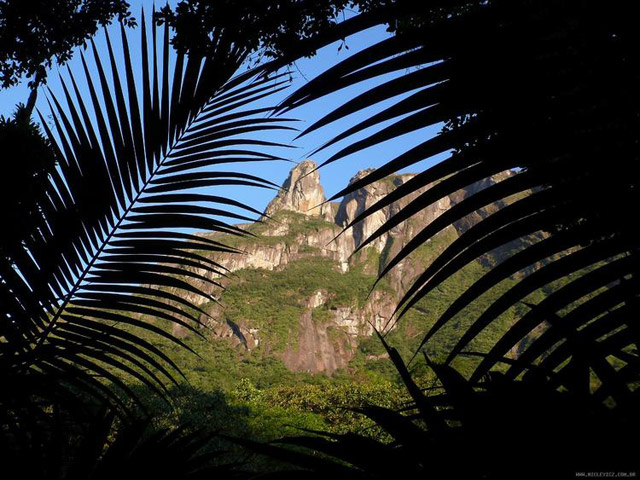 Foto: www.niclevicz.com.br