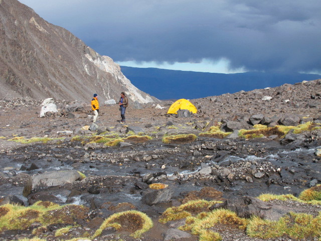 Foto: www.niclevicz.com.br