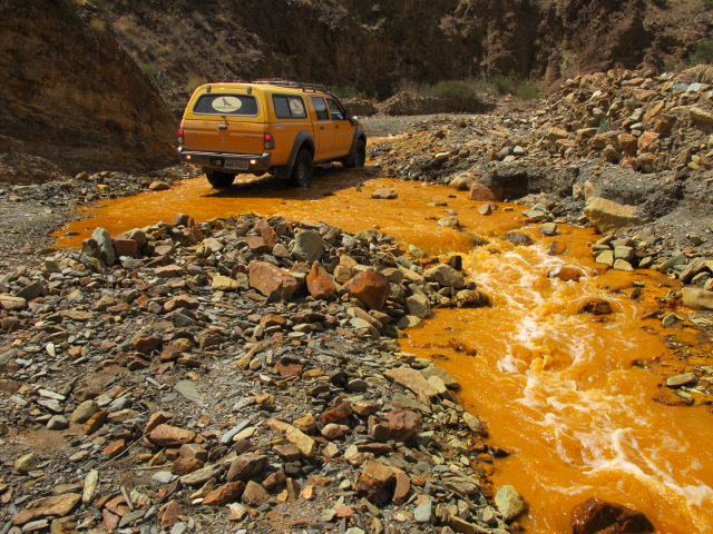 Foto: www.niclevicz.com.br