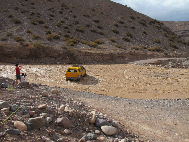 Foto: www.niclevicz.com.br