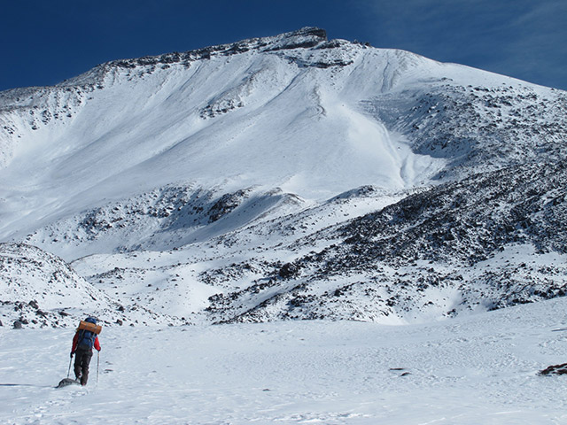 Foto: www.niclevicz.com.br