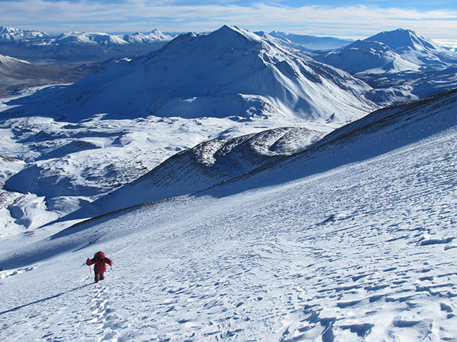 Foto: www.niclevicz.com.br