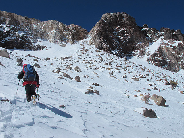 Foto: www.niclevicz.com.br