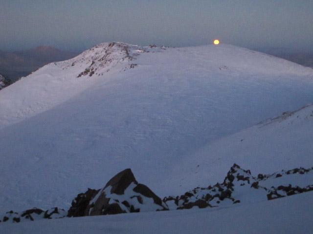 Foto: www.niclevicz.com.br