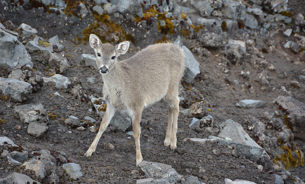 Foto: Waldemar Niclevicz