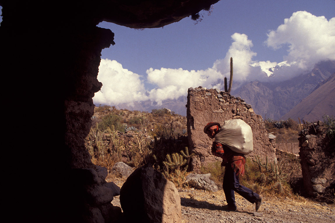 Foto: Waldemar Niclevicz