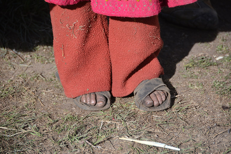 Foto: Waldemar Niclevicz