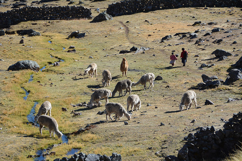 Foto: Waldemar Niclevicz