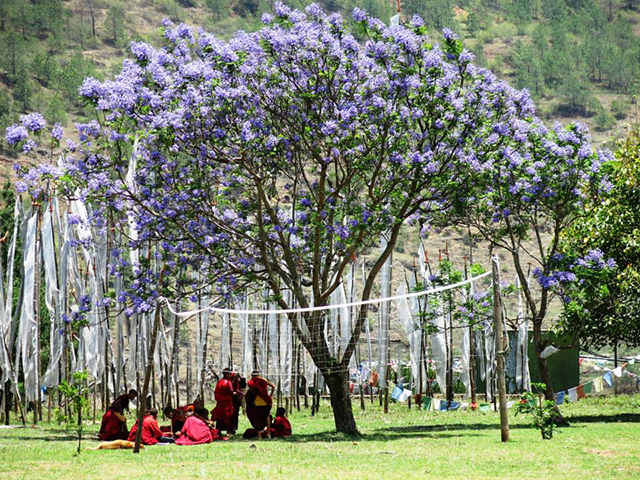 Lugares lindos. Foto: Karina e Pablo