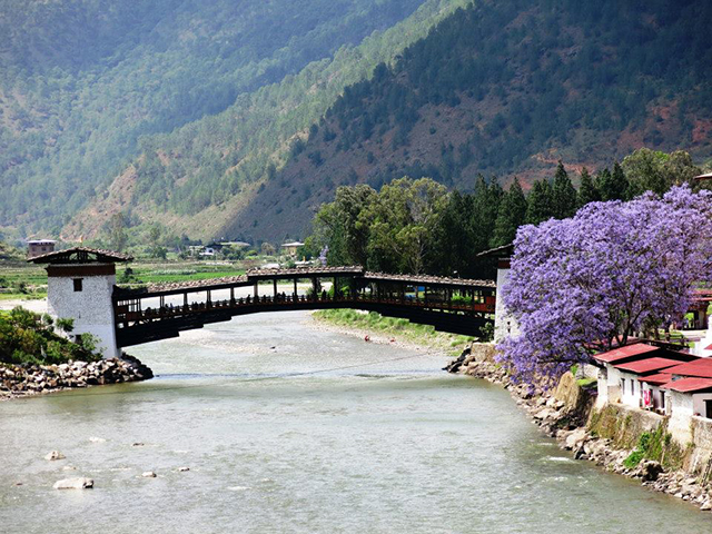 Lindo templo "Dzong Pungtang Dechen Photrang em Punakha.. Foto: Karina e Pablo
