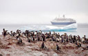 Marco Polo - um dos maiores cruzeiros em atividade na antartica, um perigo em potencial.