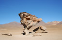 ARBOL DEL PIEDRA - Forma��o rochosa decorrente das erup��es vulcanicas e com o vento e a poiera do deserto se desgastou at� a forma em que hoje se apresenta. 4.578m ao n�vel do mar.