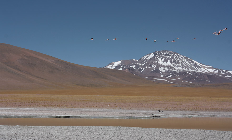 Fotos: Ernesto Stock e Guilherme Hoshino