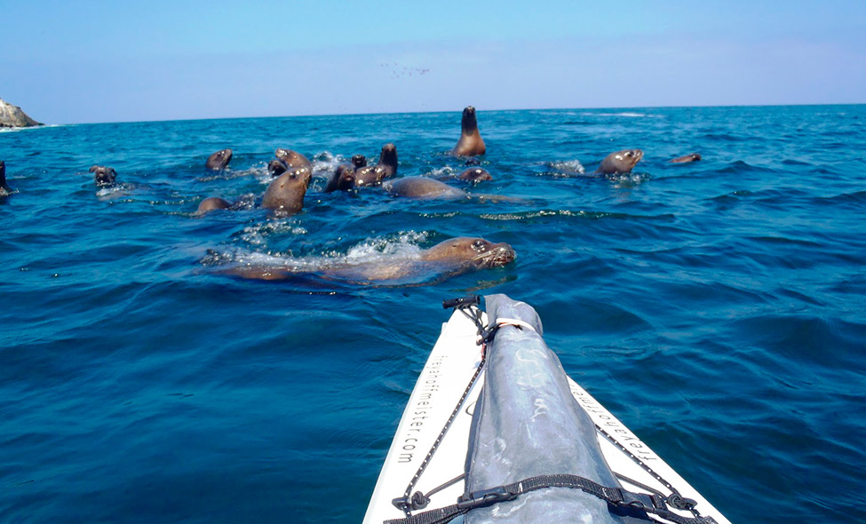 Foto: freyahoffmeister.com