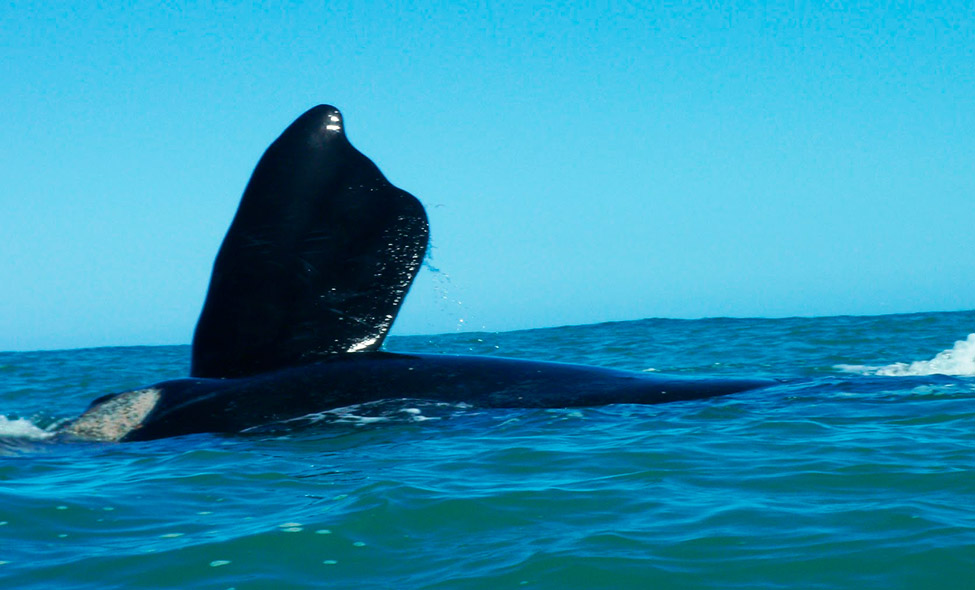 Foto: freyahoffmeister.com