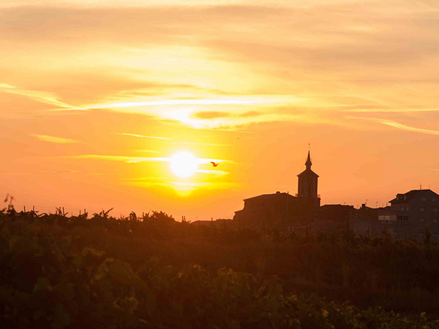 Foto: Graziela Teixeira