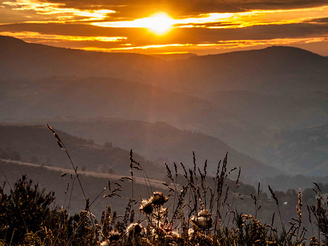 Foto: Graziela Teixeira