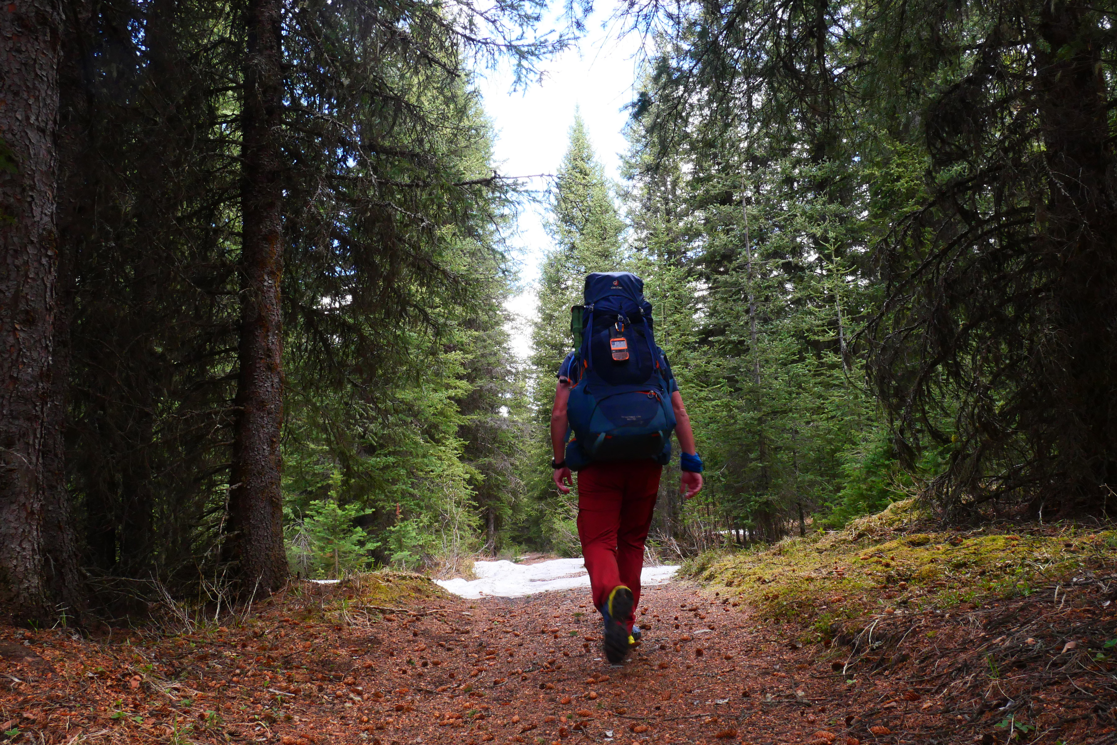 Mochila de trekking
