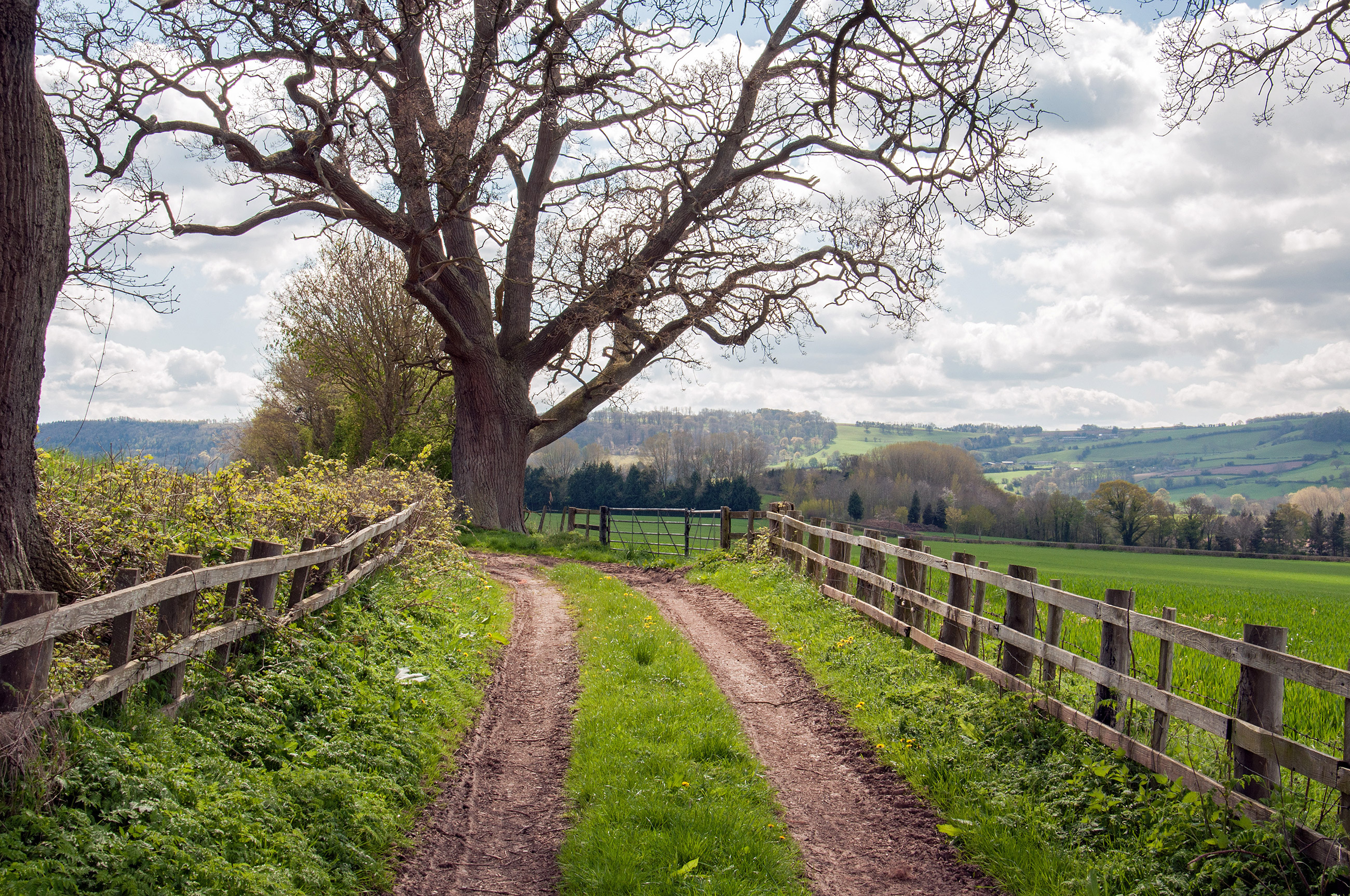 Caminho de Cotswold: paisagem 1