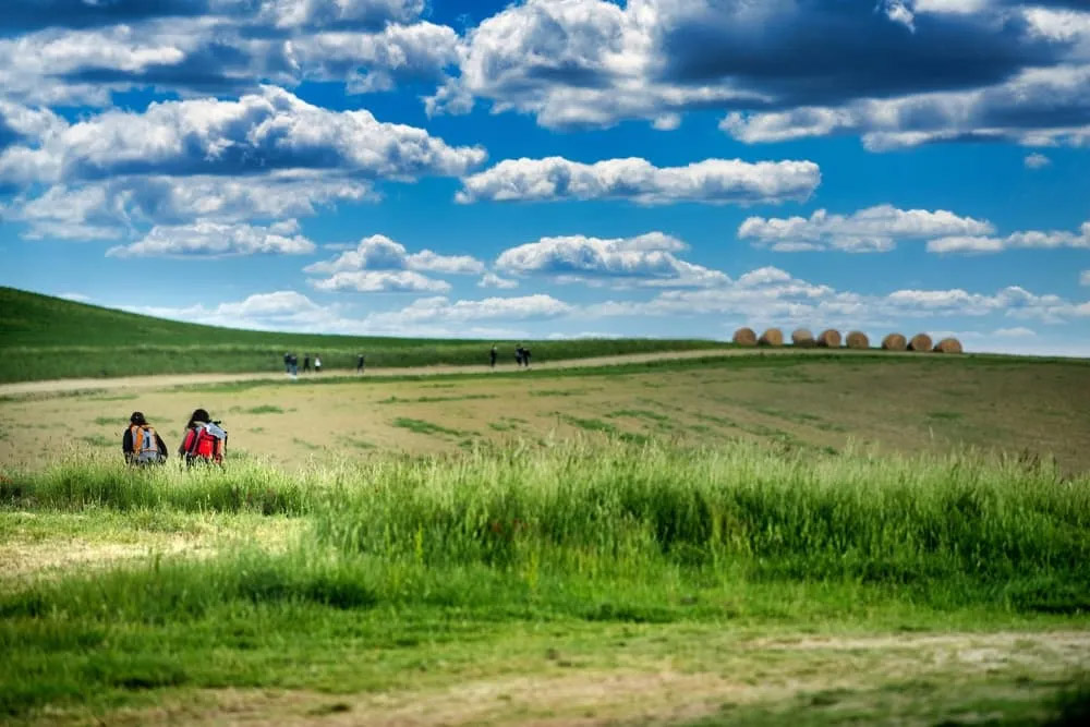 Via Francigena: paisagem 1