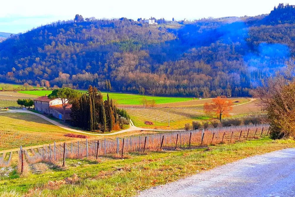 Via Francigena: paisagem 2