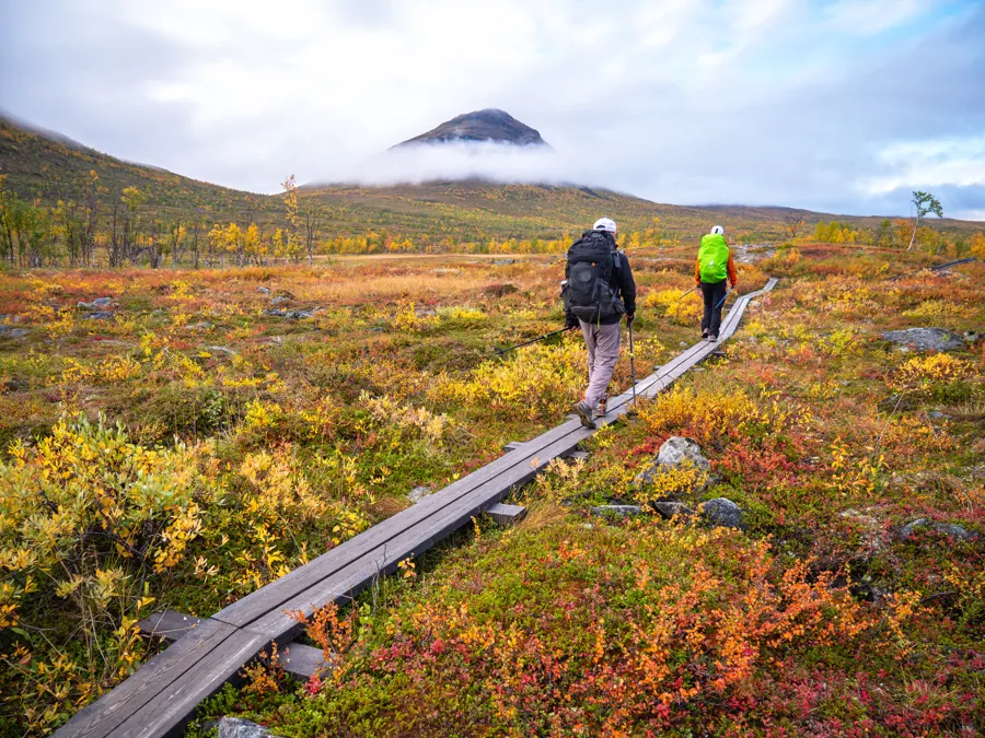 Caminhantes em passarelas de madeira na tundra